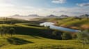 design natural landscape, landscape rendering, backyard landscape, garden