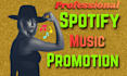 do professional spotify music promotion