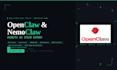 be your openclaw and nemoclaw agentic ai expert