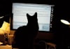 proofread up to 5000 words