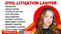 draft lawsuits, small claims, and civil litigation documents