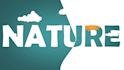 design canva graphics, powerpoint presentations and provide digital skills