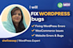 fix wordpress issues, fix wordpress errors or problem