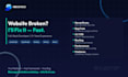 fix bugs for your website or software