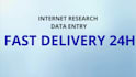 internet research and data organization service