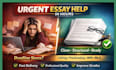 edit, proofread and improve your essay grammar, essay writing reports