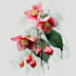 illustrate fabulous botanical fruits illustration