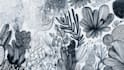 design doodle wall art mural decal wallpaper