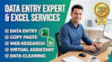 handle financial data entry and inventory reports