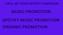 do your spotify track promotion