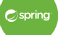 develope a professional java spring boot developer profile