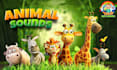 create pixar style 3d kids animation cartoon animation and educational video