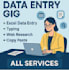 do accurate data entry, excel work and copy paste tasks
