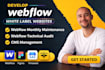 provide webflow monthly maintenance webflow technical audit cms management