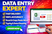 do error free data entry, excel work with fast delivery