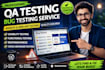 test your website and find bugs professionally