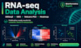 analyze rna seq data with deseq2 and publication ready plots