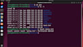 do kali linux, ubuntu, penetration testing tasks and teach