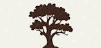 design a custom tree logo