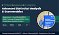 do advanced statistical analysis and econometrics