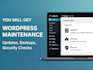 do wordpress maintenance with updates backups and security