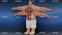 make any 3d model you want