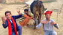 wish happy birthday video