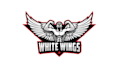 create a white wings and masculine logo