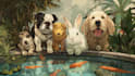 do custom pet portrait, dog portrait, cat portrait