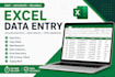 professional in excel data entry