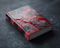 fantasy book cover ebook cover, book cover illustration