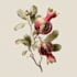 draw professional botanical flower illustration