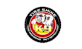 design mascot automotive tire shine logo