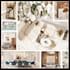 help you see your future home before construction starts
