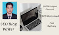 write SEO technology articles and tech blog posts