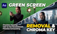 professionally remove green screen and replace background