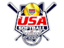 design unique softball logo with one day delivery