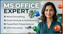 handle professional ms word excel and powerpoint projects