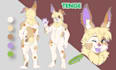 create furry ref sheet anthro furry reference sheet furry oc fursona ref sheet