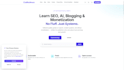 build custom PHP website with admin panel and API