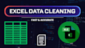 clean, format and organize your excel or CSV data professionally