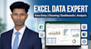 create professional dashboards in excel or power bi