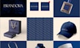 do logo design and branding kit package with brand identity