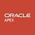 develop erp, pos, hrm, CRM systems by using oracle apex