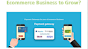 setup 2d, 3d payment link, payment processor, paypal, wise, payment gateway