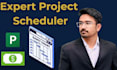 create a professional ms project gantt chart and schedule