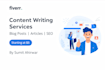 write blog posts and do data entry work professionally