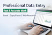 do data entry professionally
