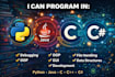 create custom python program
