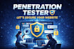 conduct website penetration testing and offer security measures